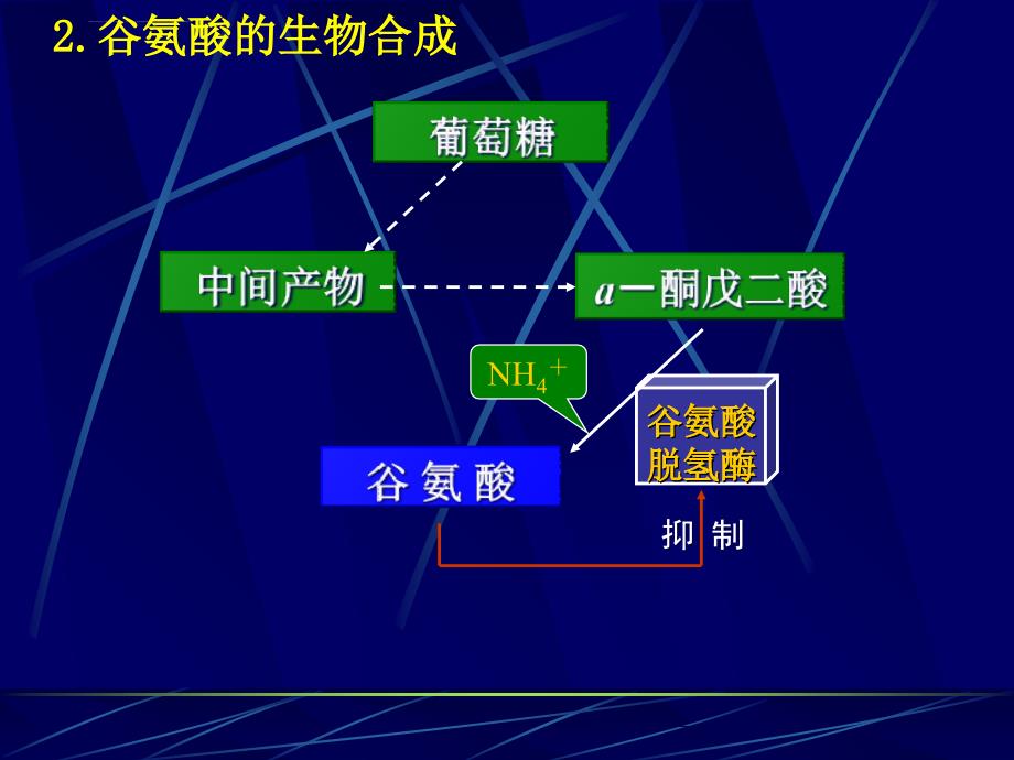 发酵工艺学发酵工艺实例简介课件_第4页