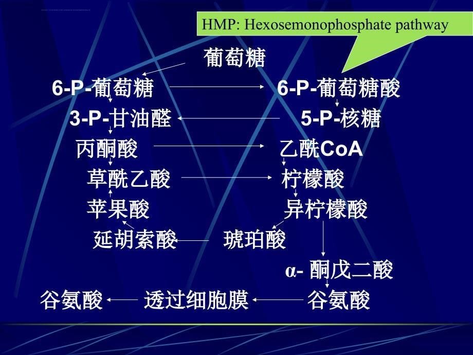 发酵工艺学发酵工艺实例简介课件_第5页