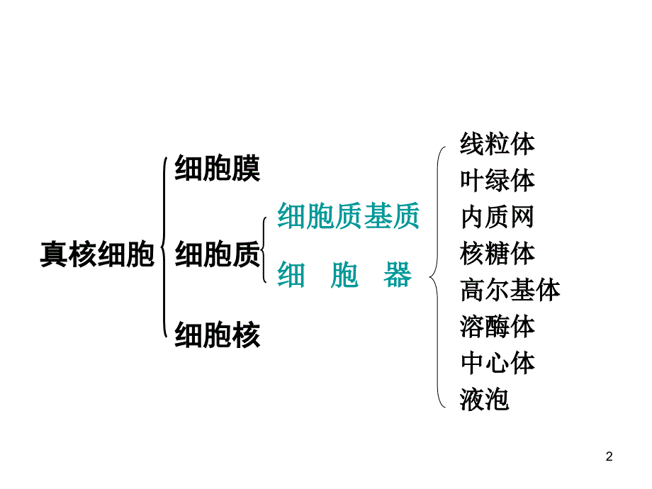 沪科版生命科学高一上32《细胞核和细胞器》PPT课件4_第2页