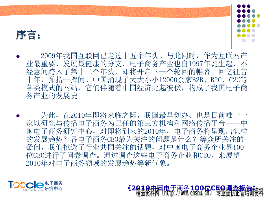 {管理诊断调查问卷}中国电子商务CEO调查报告书_第2页