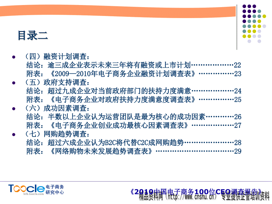 {管理诊断调查问卷}中国电子商务CEO调查报告书_第4页