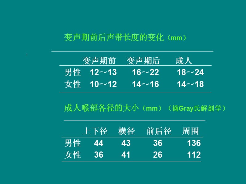 位于舌骨与甲状软骨之间ppt课件_第5页