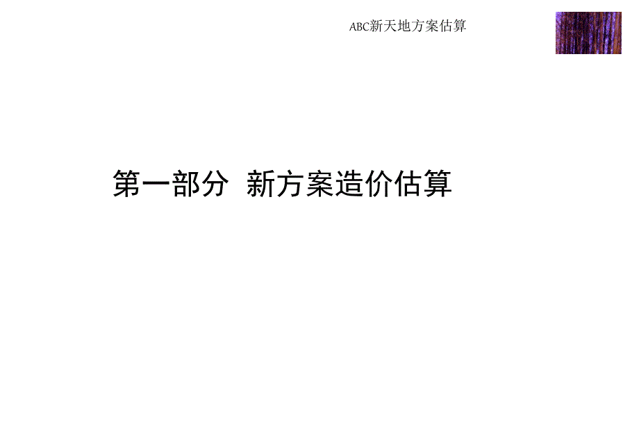 {行业分析报告}ABC新天地方案估算报告_第2页