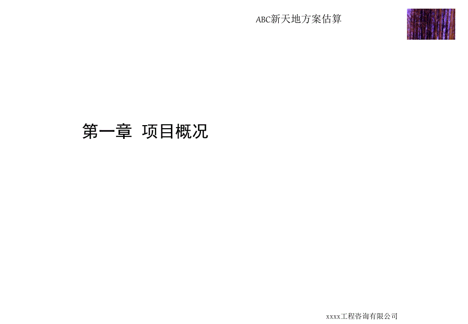 {行业分析报告}ABC新天地方案估算报告_第3页