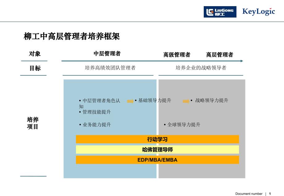 {管理运营知识}某公司中高层管理者培养框架_第1页