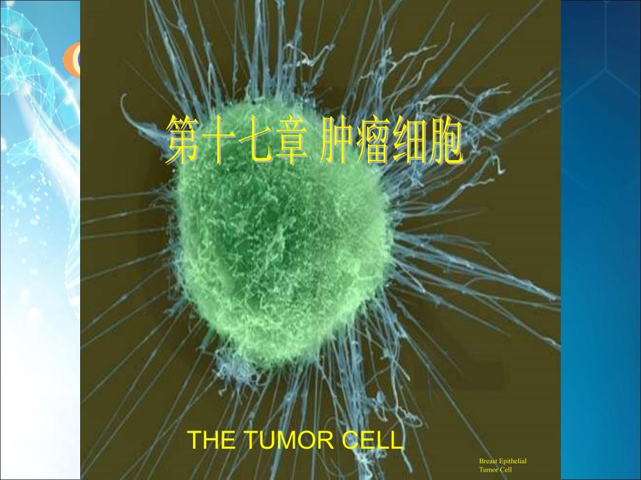 细胞生物学在线ppt课件_第1页