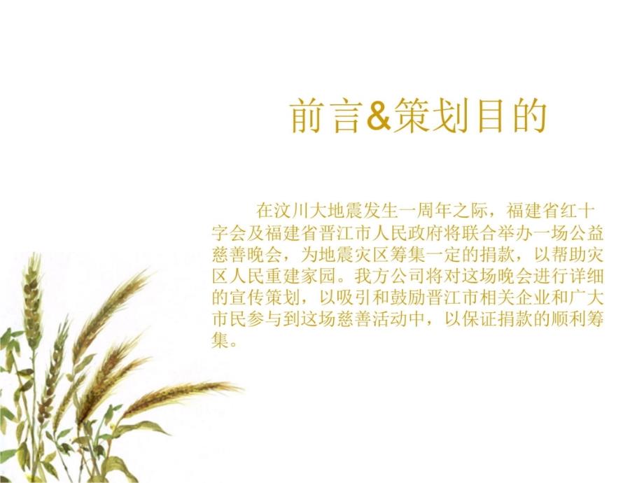 赈灾慈善晚会宣传策划教学教案_第4页