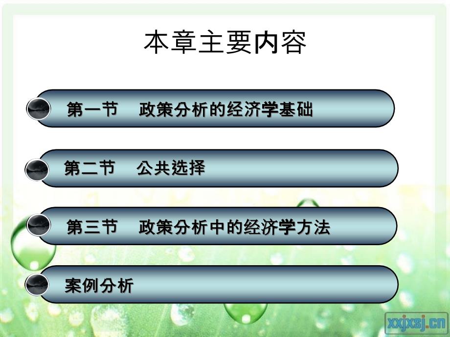 {财务管理财务知识}公共政策的经济学分析_第2页