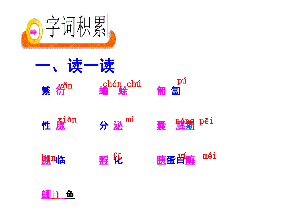 鲁教版语文七下第21课《奇妙的克隆》ppt课件4_第3页