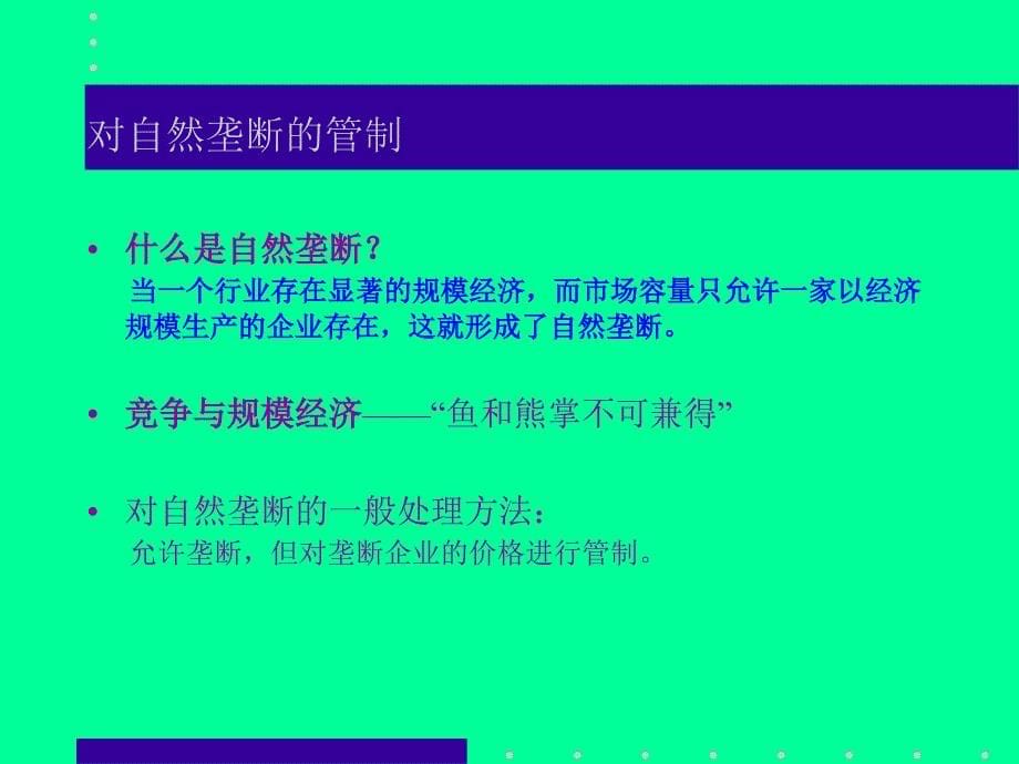 {财务管理财务知识}管理经济学讲义九市场失效与政府管制_第5页