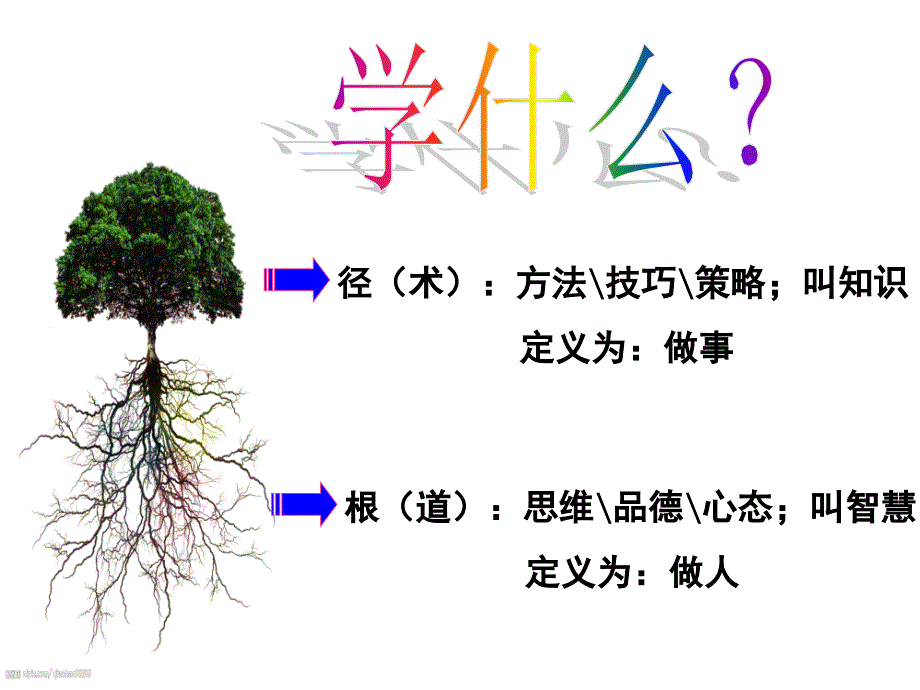 {经营管理知识}人生智慧选择比努力更重要公开课_第4页