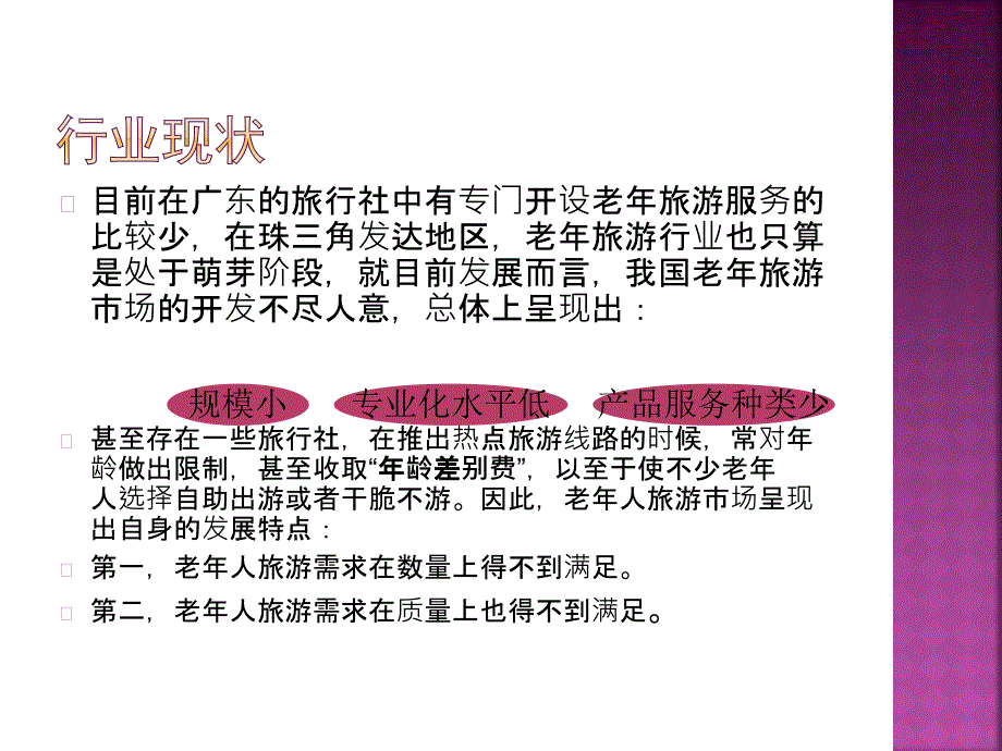 {行业分析报告}广东老年旅游行业市场分析报告_第3页