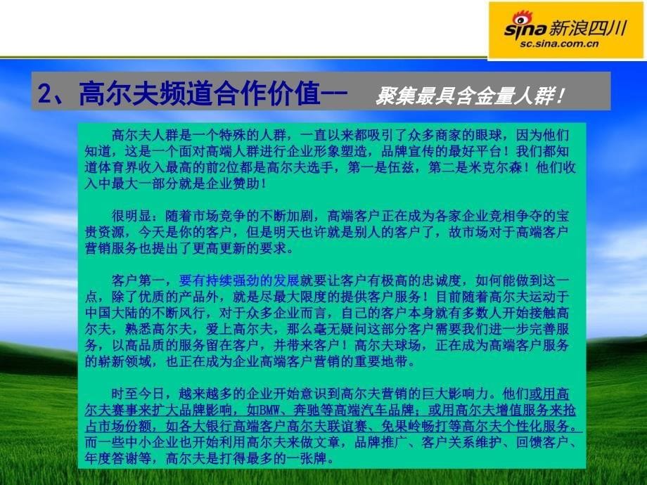 {招商策划}新浪四川高尔夫频道招商策划_第5页