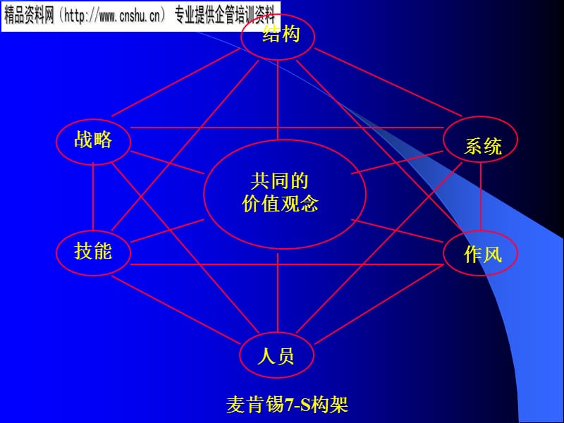 {管理运营知识}国外企业经营管理方案分析_第5页