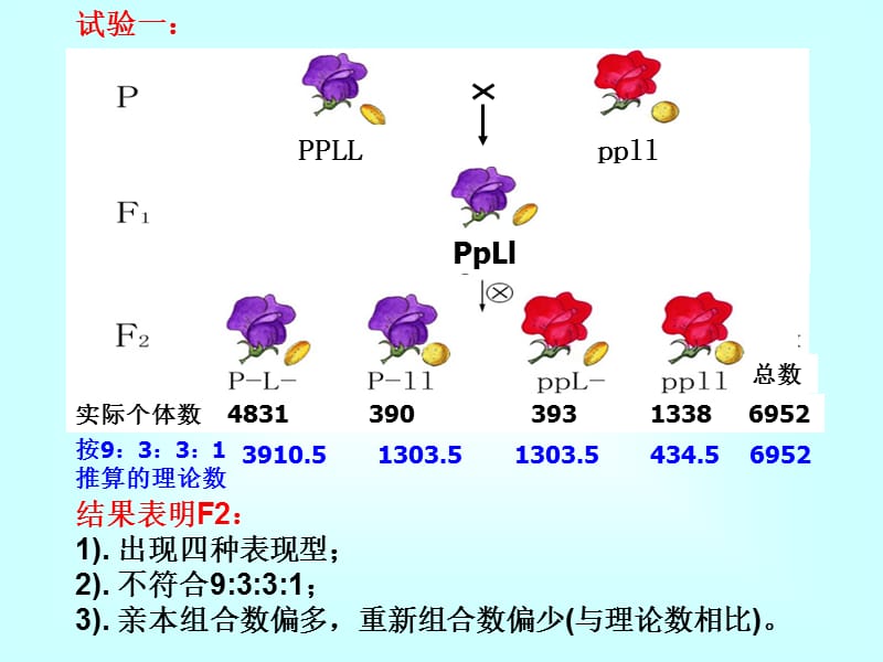 {连锁经营管理}第五章连锁遗传和性连锁_第5页