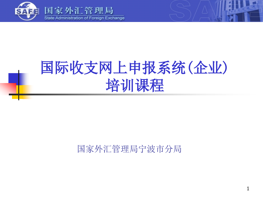 {财务管理财务知识}国际收支网上申报系统讲义_第1页