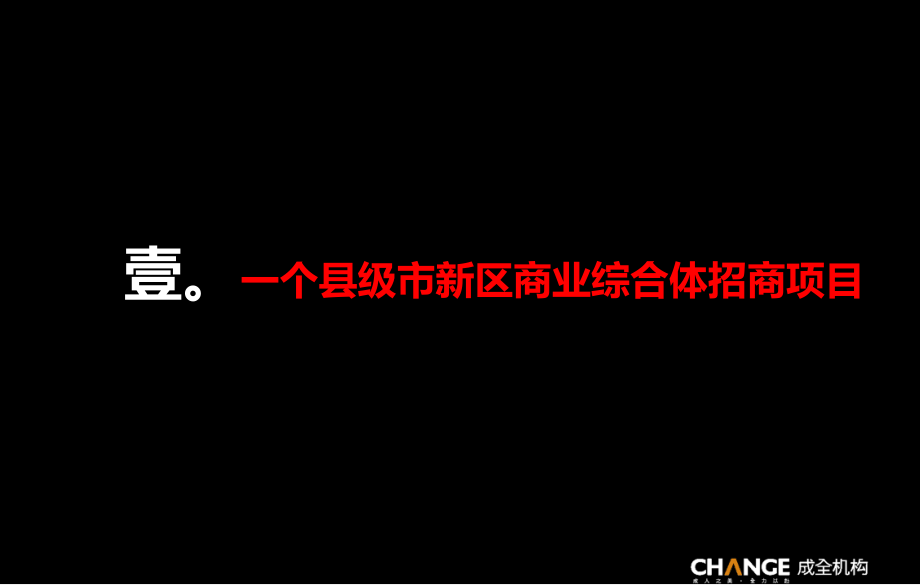 {房地产项目管理}某某某商业地产项目提案及实例_第3页