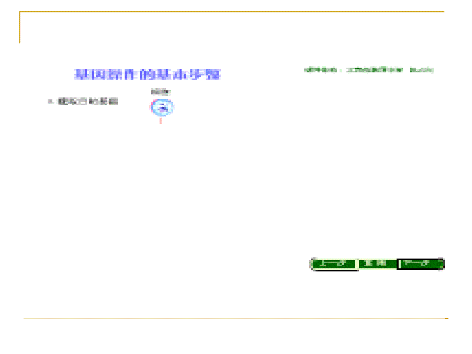 {城乡园林规划}基因工程的基本操作步骤赵莉公开课pptPowerP_第4页