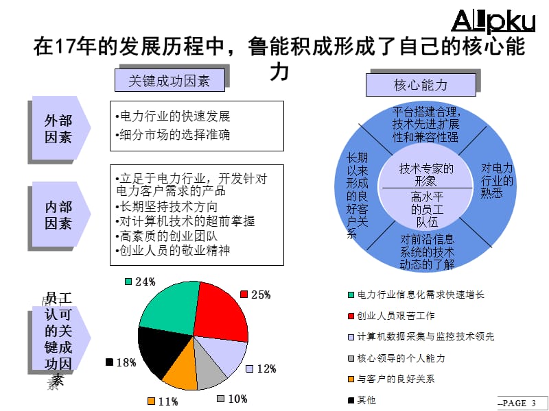 {内部管理}某咨询鲁能集成电子内部管理诊断报告_第3页