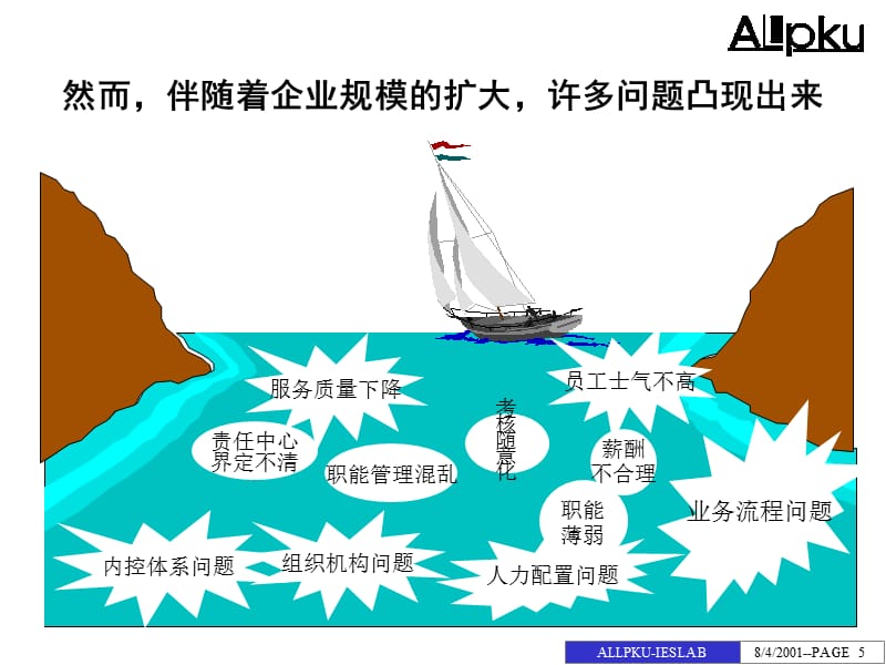 {内部管理}某咨询鲁能集成电子内部管理诊断报告_第5页