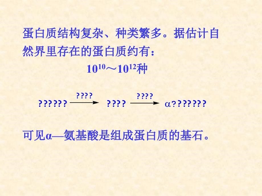 第19章氨基酸、蛋白质与核酸课件_第5页