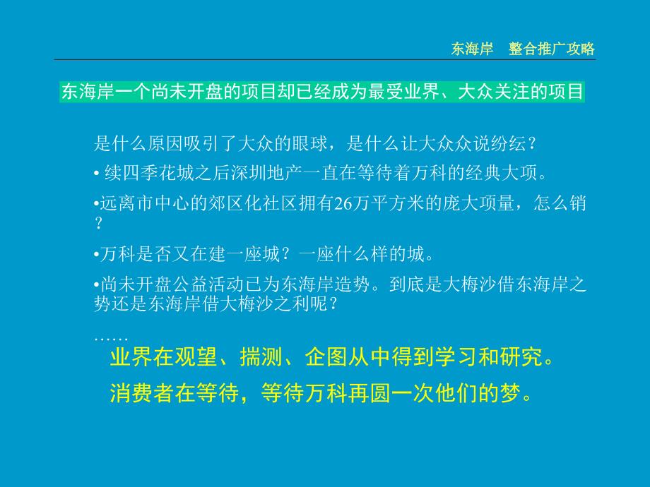 {房地产营销推广}某某地产整合推广攻略_第2页