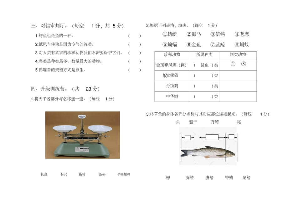 2020年湘科版小学三年级上册科学期中测试卷_第2页