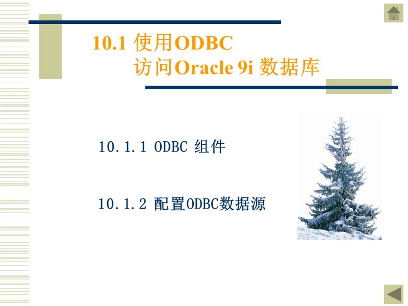 第0章Oracle 编程接口课件_第2页