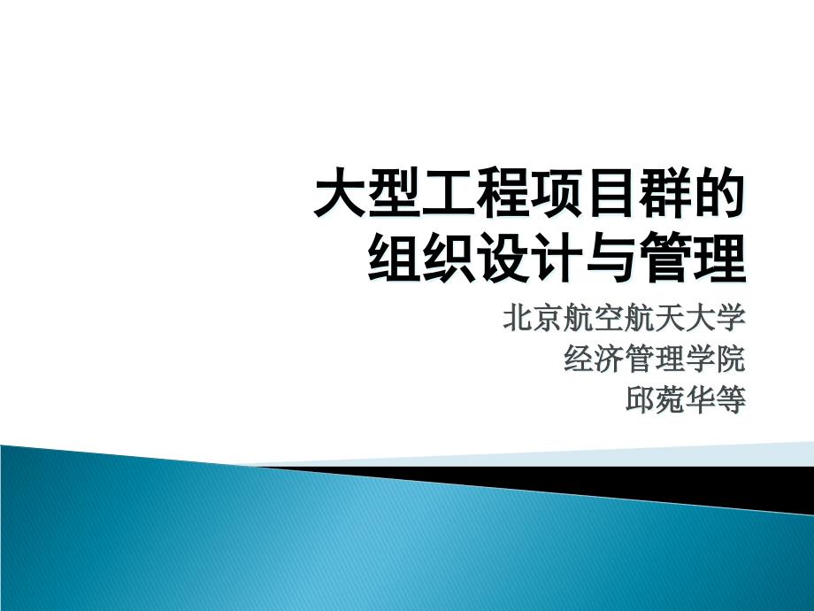 {工程设计管理}大型工程项目群的组织设计与管理讲义_第1页