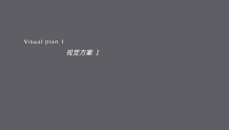 {房地产经营管理}某市某地产公望视觉提案_165_第4页