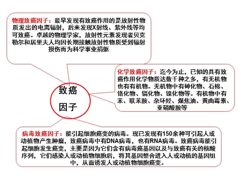 第3节癌细胞的主要特征及防治课件_第4页