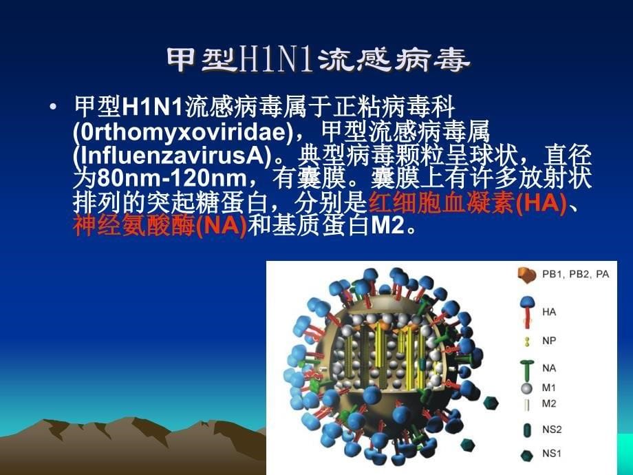 {年度报告}发热门诊工作流程既疫情报告_第5页