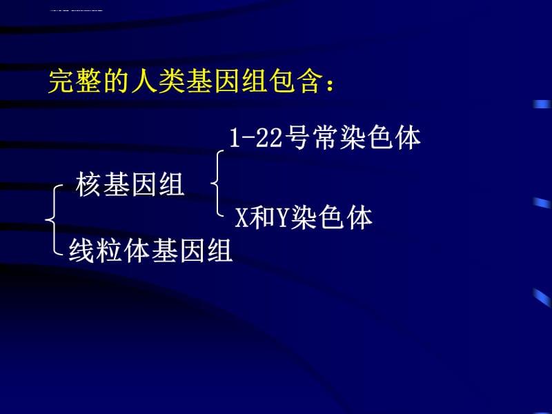 第03章人类基因组学课件_第3页