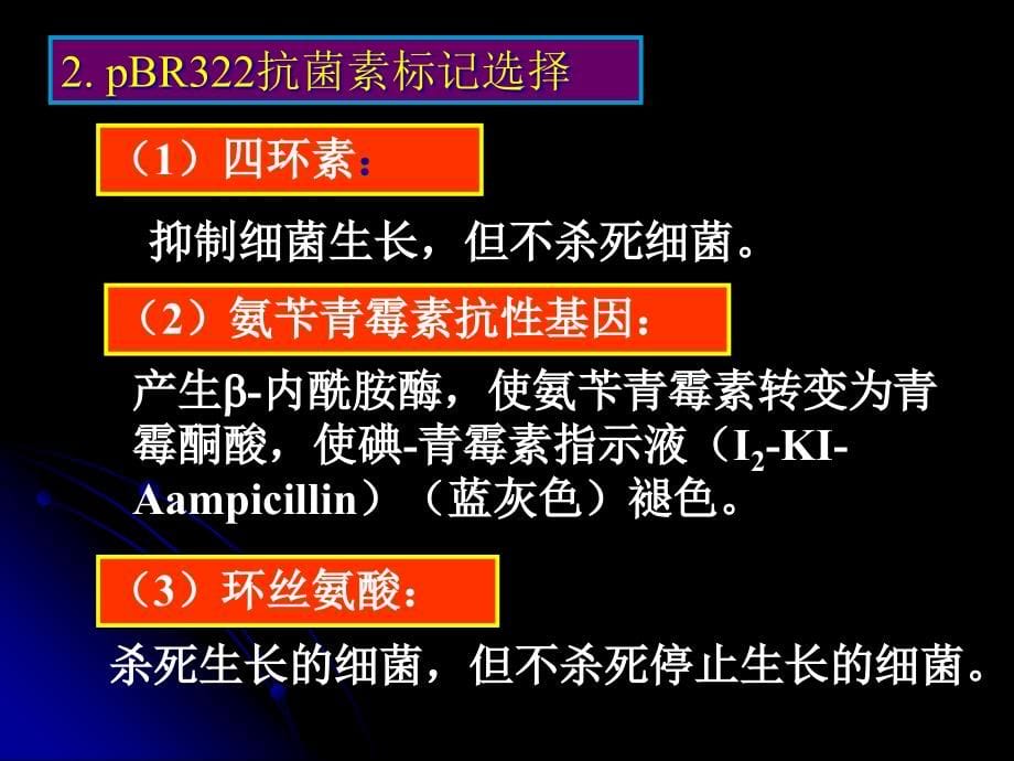 {企业并购重组}7重组体克隆的筛选和鉴定_第5页