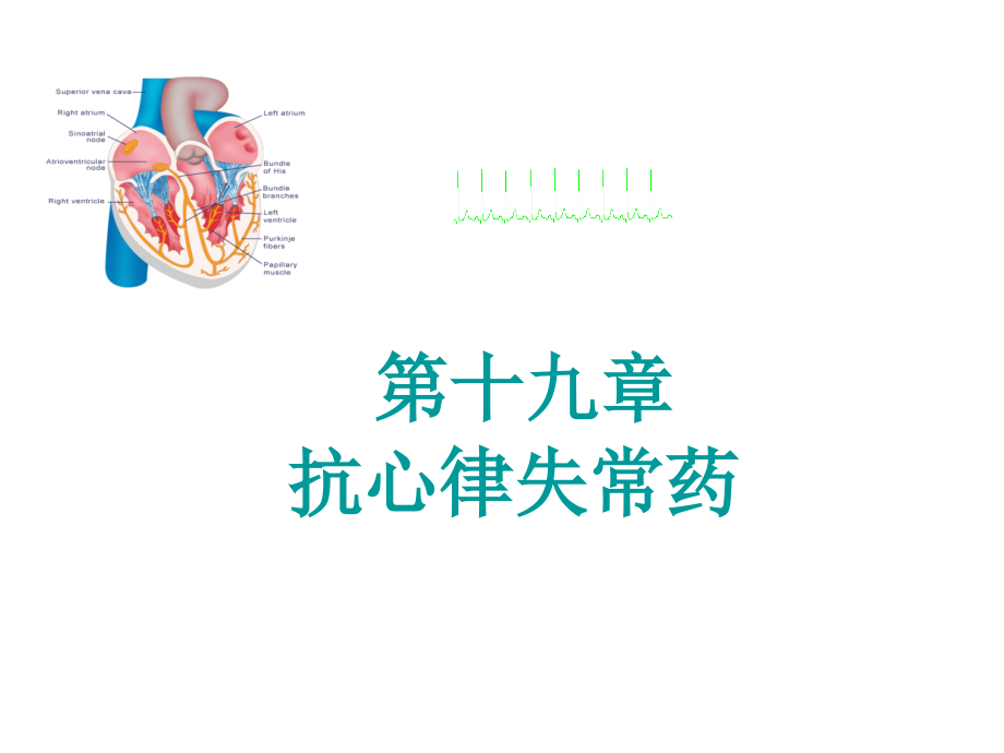 第19章 抗心律失常药课件_第1页