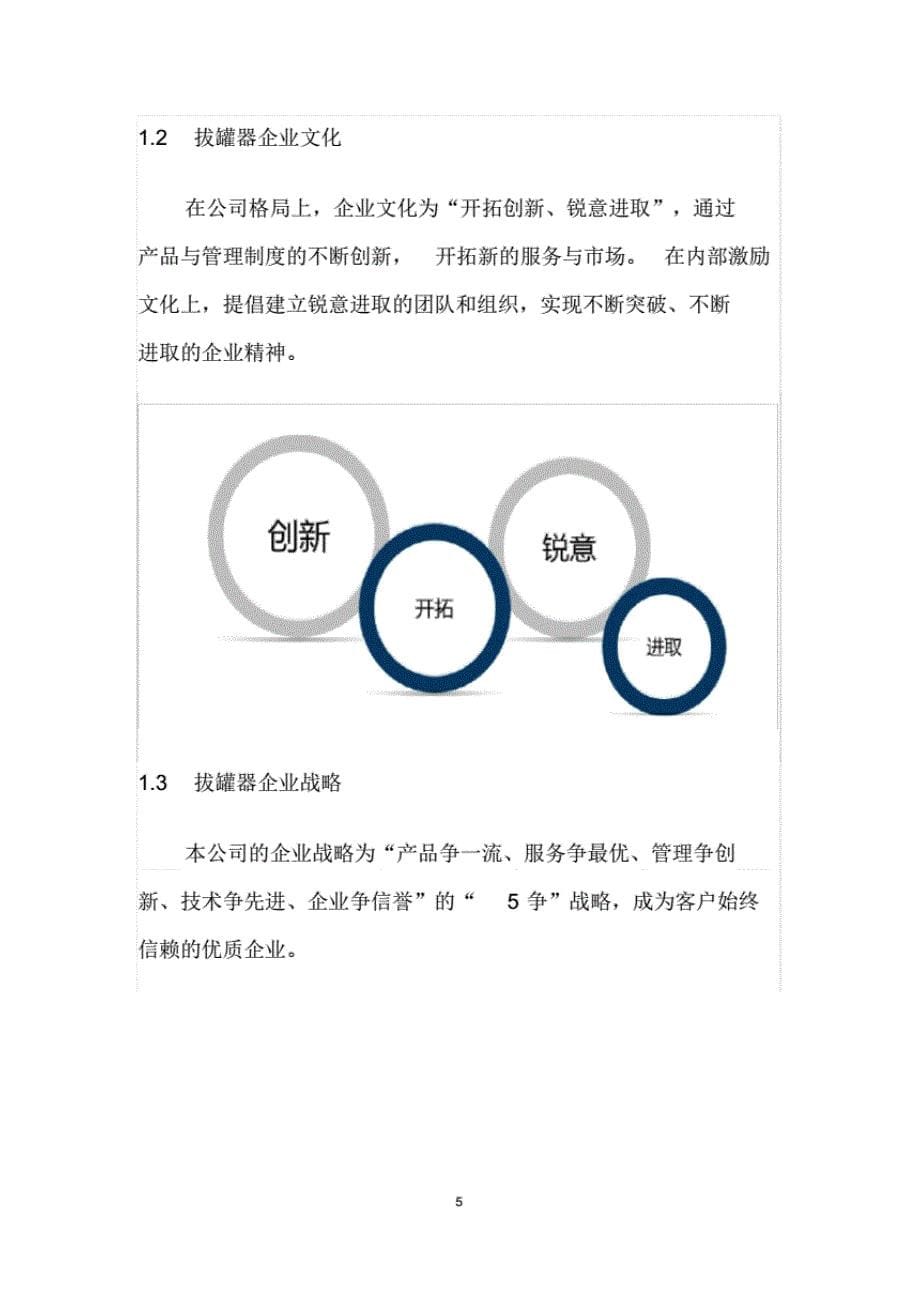 最新2020拔罐器行业发展战略经营计划_第5页