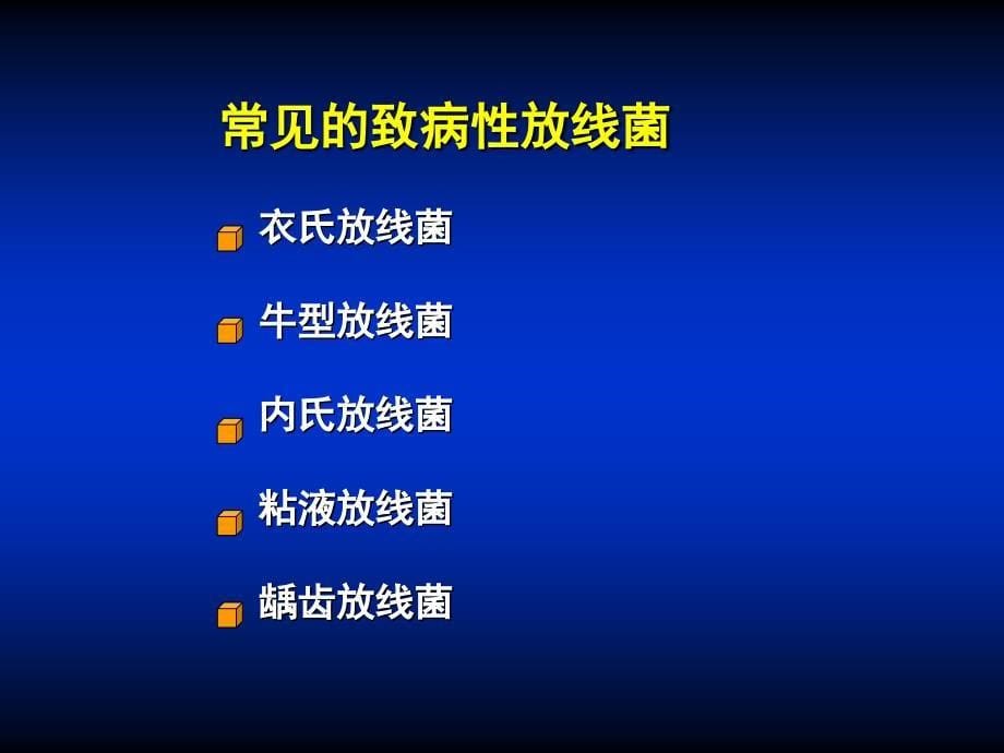 第18章放线菌与诺卡菌课件_第5页