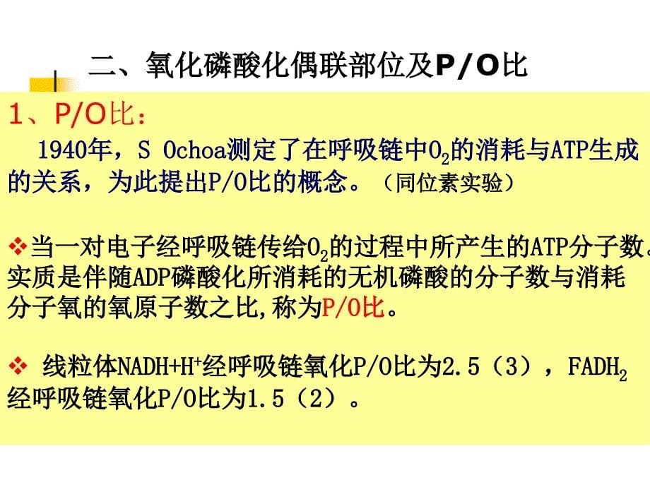 第24章生物氧化课件_第5页