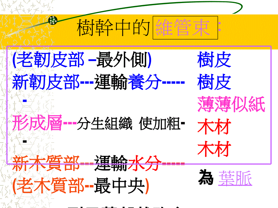 {交通运输管理}运输作用p53_第4页