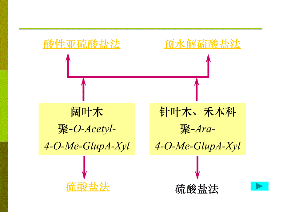 第3章半纤维素第3次课课件_第4页