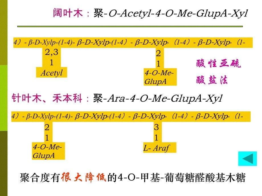 第3章半纤维素第3次课课件_第5页