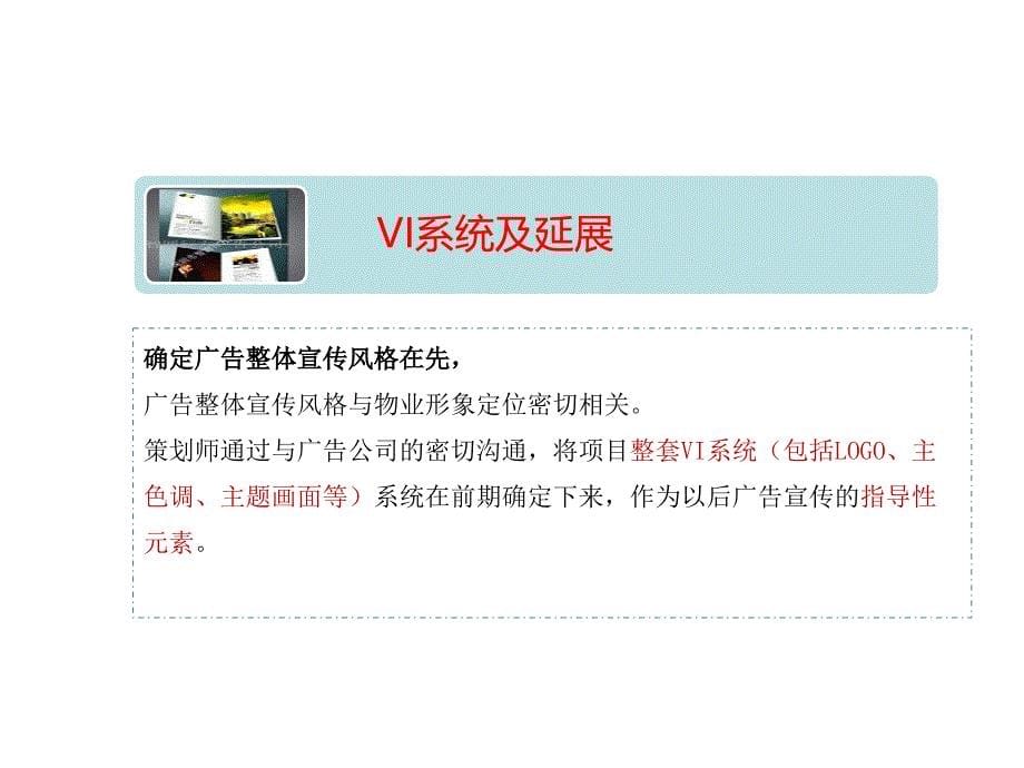 {包装印刷造纸公司管理}推广包装销售物料_第5页