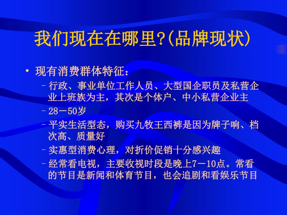 {企划方案}王年度广告企划PPT 49页_第4页