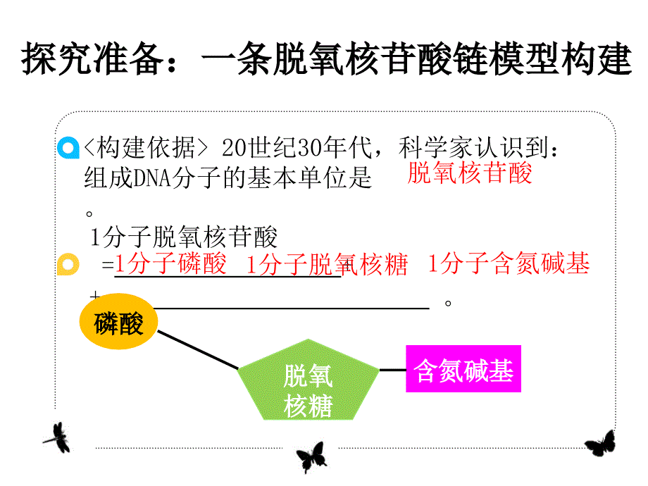 第3章第2节DNA的分子结构课件_第4页