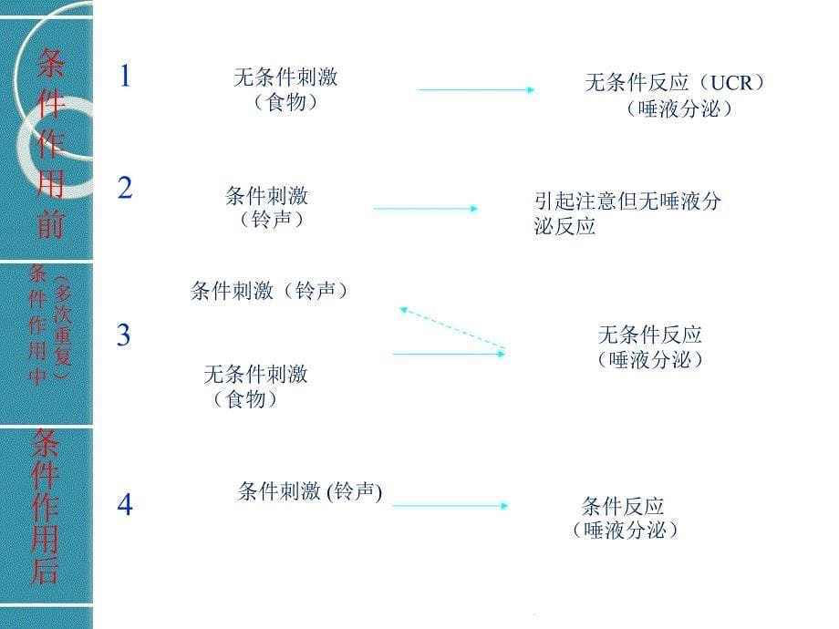 幼儿教育心理学第二章ppt课件_第5页