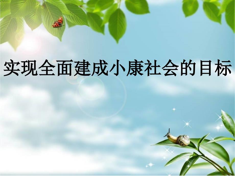 {目标管理}实现全面建成小康社会的目标优质讲义_第4页