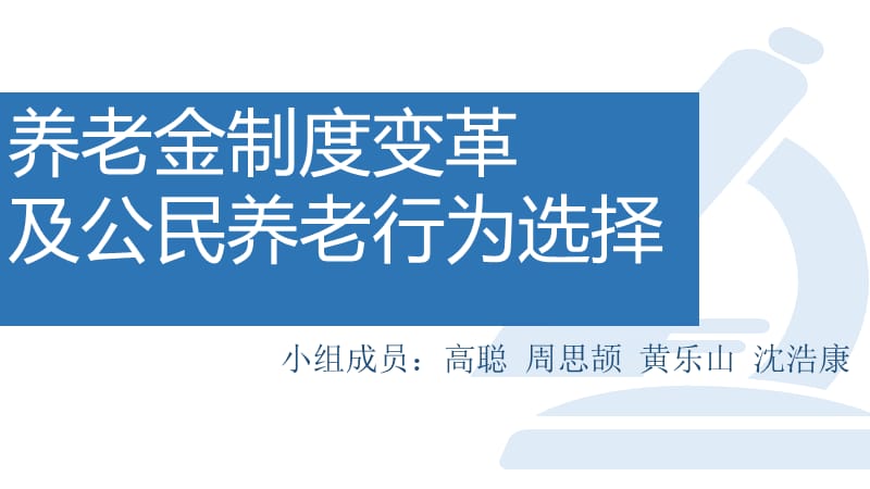 {企业变革规划}养老金制度变革_第1页