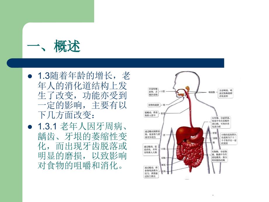 老年人饮食护理.ppt课件_第3页