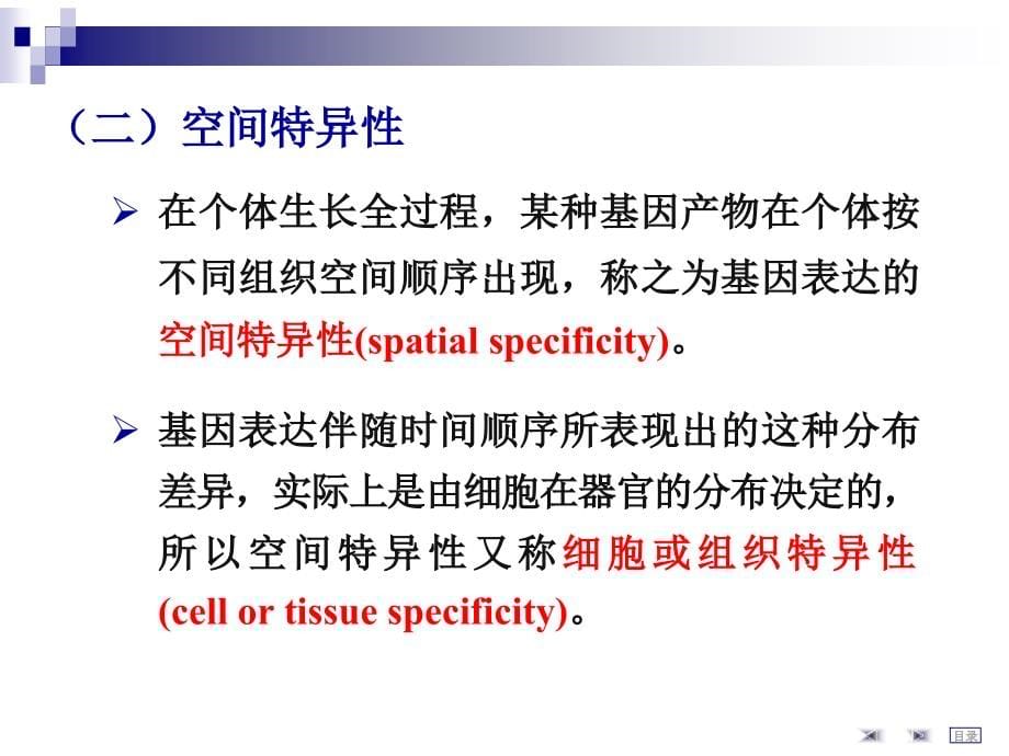 第4十三章基因表达调控课件_第5页