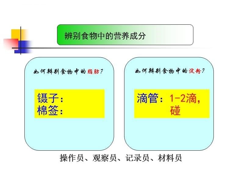 四年级科学上册《食物中的营养》ppt执教课件_第5页